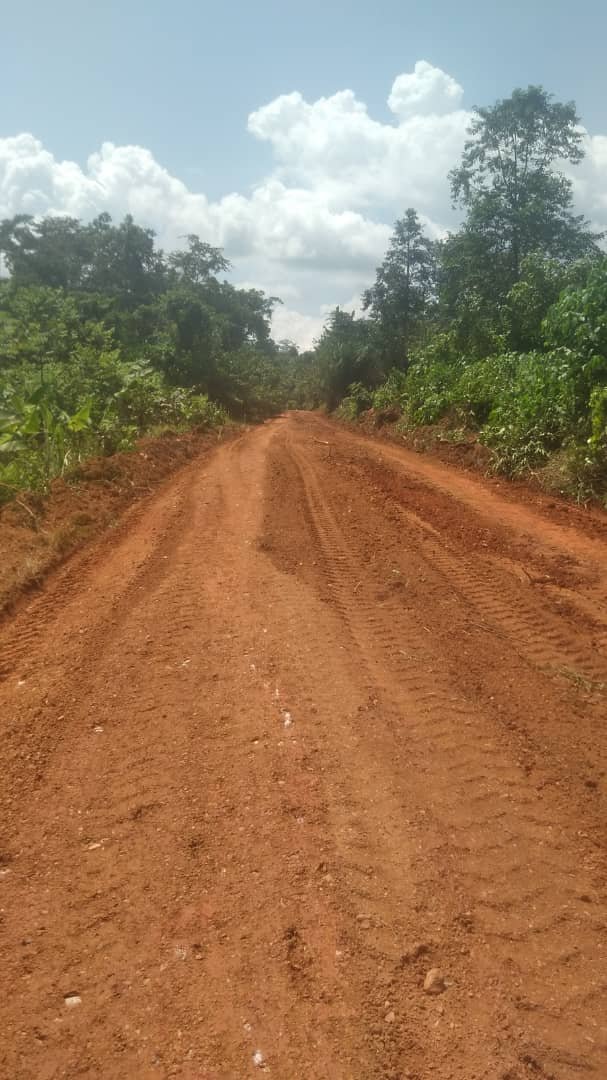 The Maxwells Ghana Limited — site photo 12